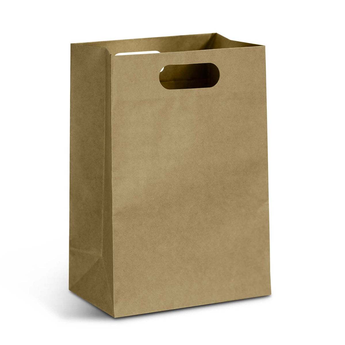 Large Die Cut Paper Bag Portrait Corporate Gift Singapore