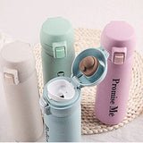 Eco Friendly Wheat Straw Stainless Steel Bottle Executive Corporate Gifts Singapore
