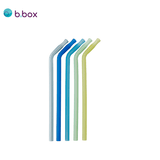 Eco Friendly B BOX 5Pc Silicone Straw Executive Corporate Gifts Singapore