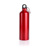 Alpine Aluminium Bottle Executive Corporate Gifts Singapore