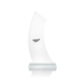 Perwet Crystal Trophy Executive Gifts Singapore