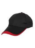 Polyster Baseball Cap 6 Panel Executive Gifts Singapore