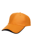 Polyster Baseball Cap 6 Panel Executive Gifts Singapore