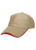 Polyster Baseball Cap 6 Panel Executive Gifts Singapore