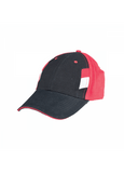 Trendy Cotton Baseball Cap 6 Panel Executive Gifts Singapore