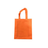 A4 Portrait Non-Woven Bag Executive Corporate Gifts Singapore