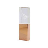 Rectangular Crystal USB Flash Drive with Colored Case Executive Gifts Singapore