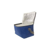 Cooler Bags Executive Gifts Singapore