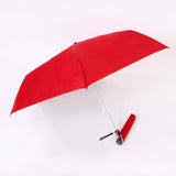 21'' Foldable Umbrella with 6 Panels Executive Corporate Gifts Singapore