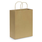 Paper Carry Bag - Large Corporate Gift Singapore