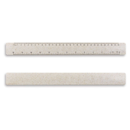 Choice Ruler 30cm Corporate Gift Singapore