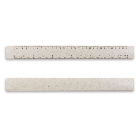 Choice Ruler 30cm Corporate Gift Singapore