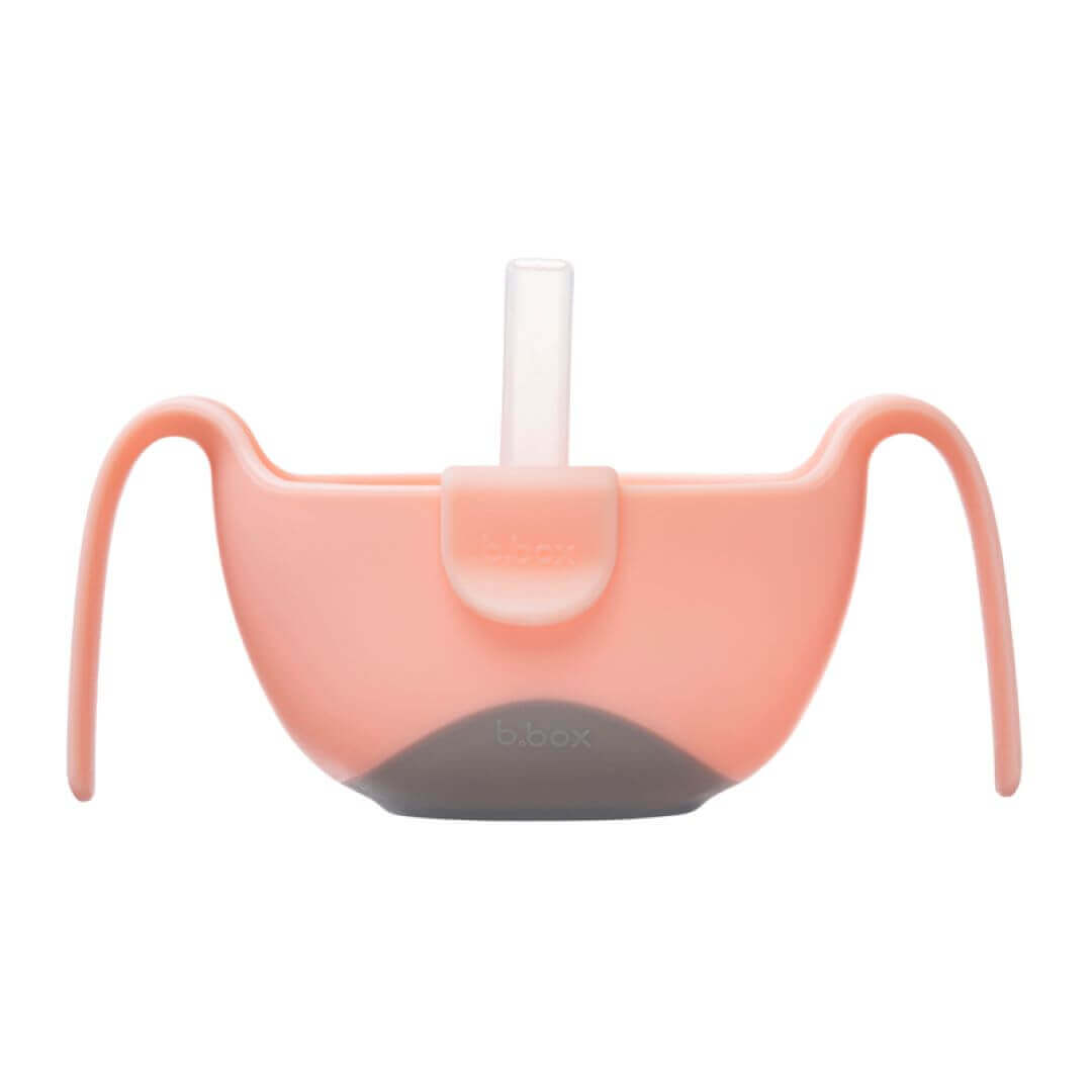 B BOX Bowl And Straw Executive Corporate Gifts Singapore