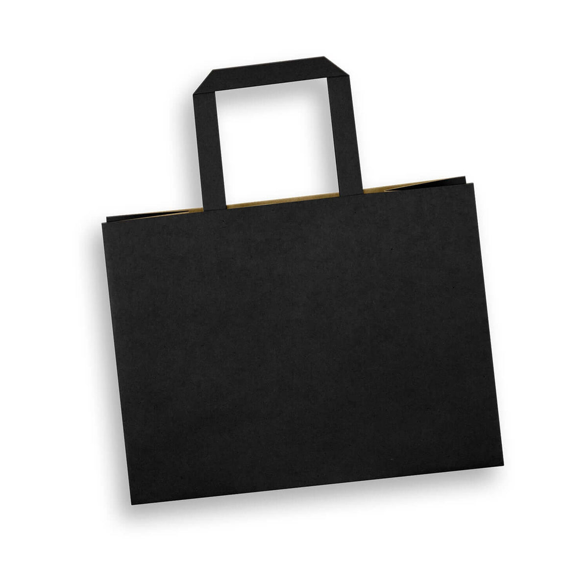 Medium Flat Handle Paper Bag Landscape Corporate Gift Singapore