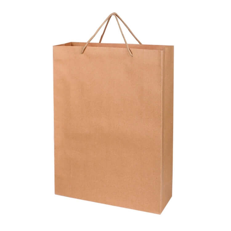 Recycle Paper Bag Executive Corporate Gifts Singapore