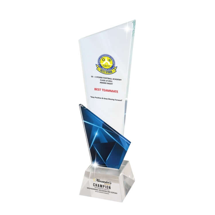 27cm Crystal Award Executive Gifts Singapore