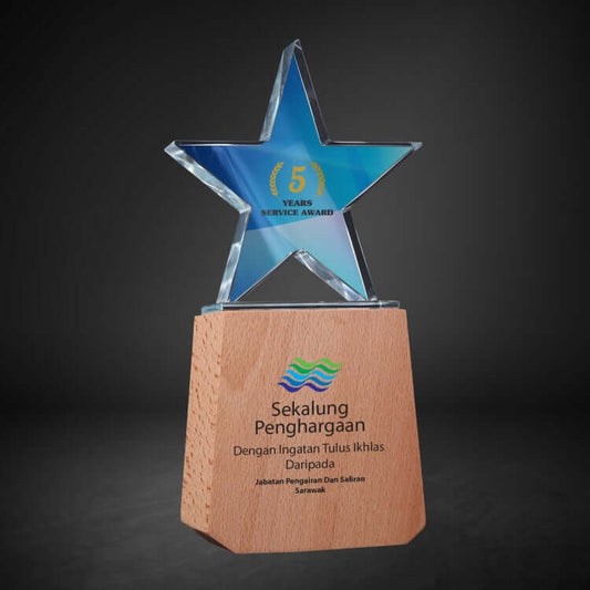 Crystal Award CY 424 Executive Gifts Singapore