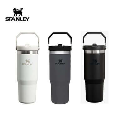 Stanley 890ml IceFlow Tumbler