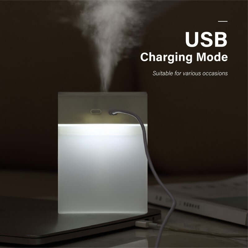 280ml Mini Humidifier with Night Light Executive Corporate Gifts Singapore