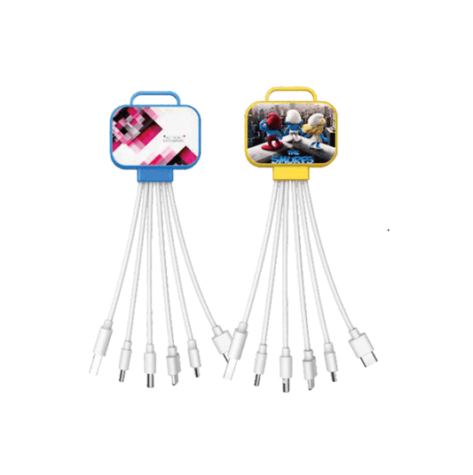 6 in 1 Cable Executive Corporate Gifts Singapore