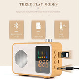 Classic Radio Design Bluetooth Speaker