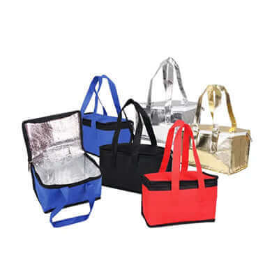 Non Woven Cooler Bag Executive Gifts Singapore