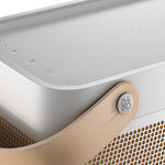 Bang & Olufsen Beolit 20 Speaker