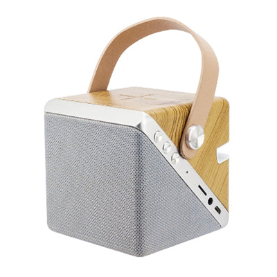 Front angled view of the speaker charger with upright carry loop, grey grille and visible side ports