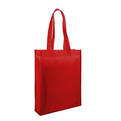 A4 Non-Woven Bag Executive Corporate Gifts Singapore