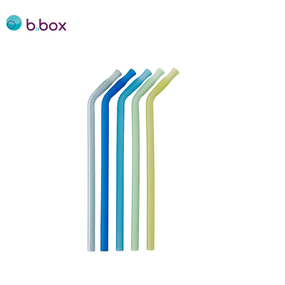 Eco Friendly B BOX 5Pc Silicone Straw Executive Corporate Gifts Singapore