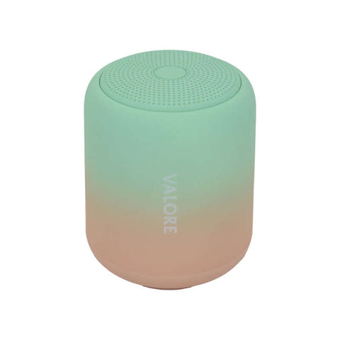 Valore Wireless Speaker (BTS41)