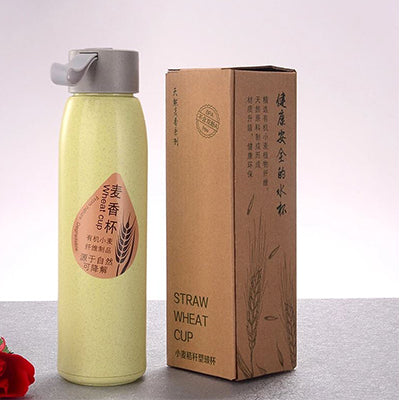 Wheat Straw Eco Glass Bottle Executive Corporate Gifts Singapore