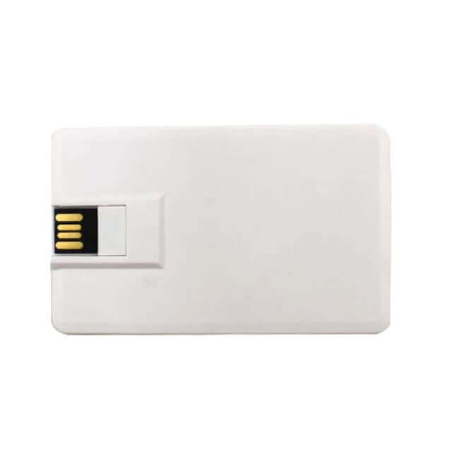 UK69 Card USB Flash Drive with Type C Executive Gifts Singapore