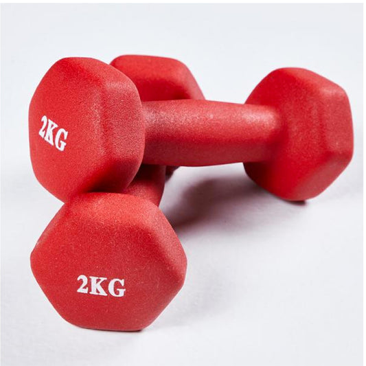 Neoprene Mini 2kg Dumb Bell Executive Corporate Gifts Singapore