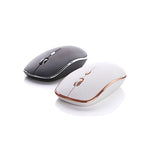 Ergo Wireless Mouse | AbrandZ Corporate Gifts