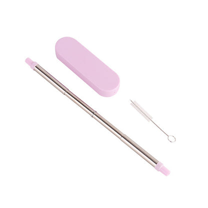 Collapsible Stainless Steel Metal Straw with Brush Executive Corporate Gifts Singapore