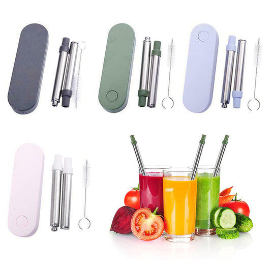 Collapsible Stainless Steel Metal Straw with Brush Executive Corporate Gifts Singapore
