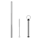 Portable Stainless Steel Eco Friendly Telescopic Traveling Drinking Straw | AbrandZ Corporate Gifts