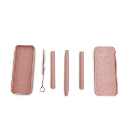 Recycle Drink Straw with Cleaning Brush Executive Corporate Gifts Singapore