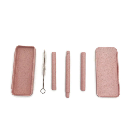 Recycle Drink Straw with Cleaning Brush Executive Corporate Gifts Singapore