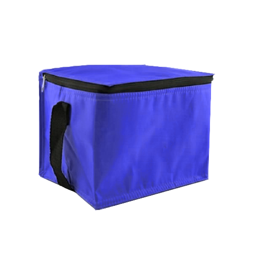 Trendy Insulated Cooler Bag Executive Gifts Singapore