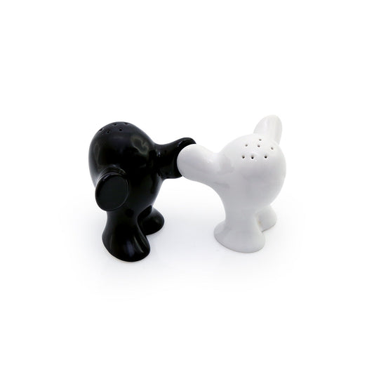 Salt & Pepper Set Executive Gifts Singapore