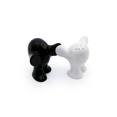 Salt & Pepper Set | AbrandZ Corporate Gifts