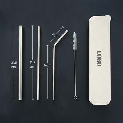 4-in-1 Silver Stainless Steel Drinking Straw Gifts Set Executive Corporate Gifts Singapore
