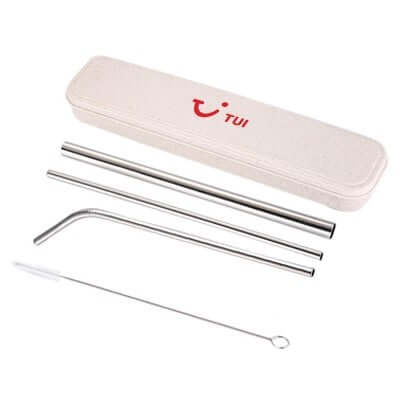 4-in-1 Silver Stainless Steel Drinking Straw Gifts Set | AbrandZ Corporate Gifts