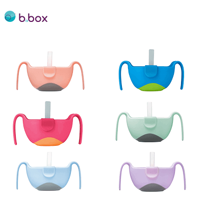B BOX Bowl And Straw Executive Corporate Gifts Singapore