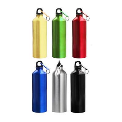 Aluminium Bottle with Carabiner (Metallic) Executive Corporate Gifts Singapore