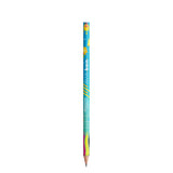 BIC Evolution Ecolutions Cut pencil Corporate Gift Singapore