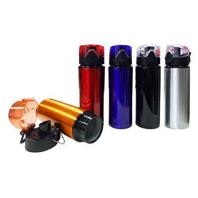 Stainless Steel Bottle with Push Lock Cap Executive Corporate Gifts Singapore