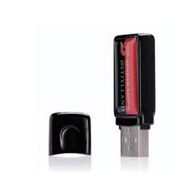 Epoxy Rectangular USB Flash Drive Executive Corporate Gifts Singapore